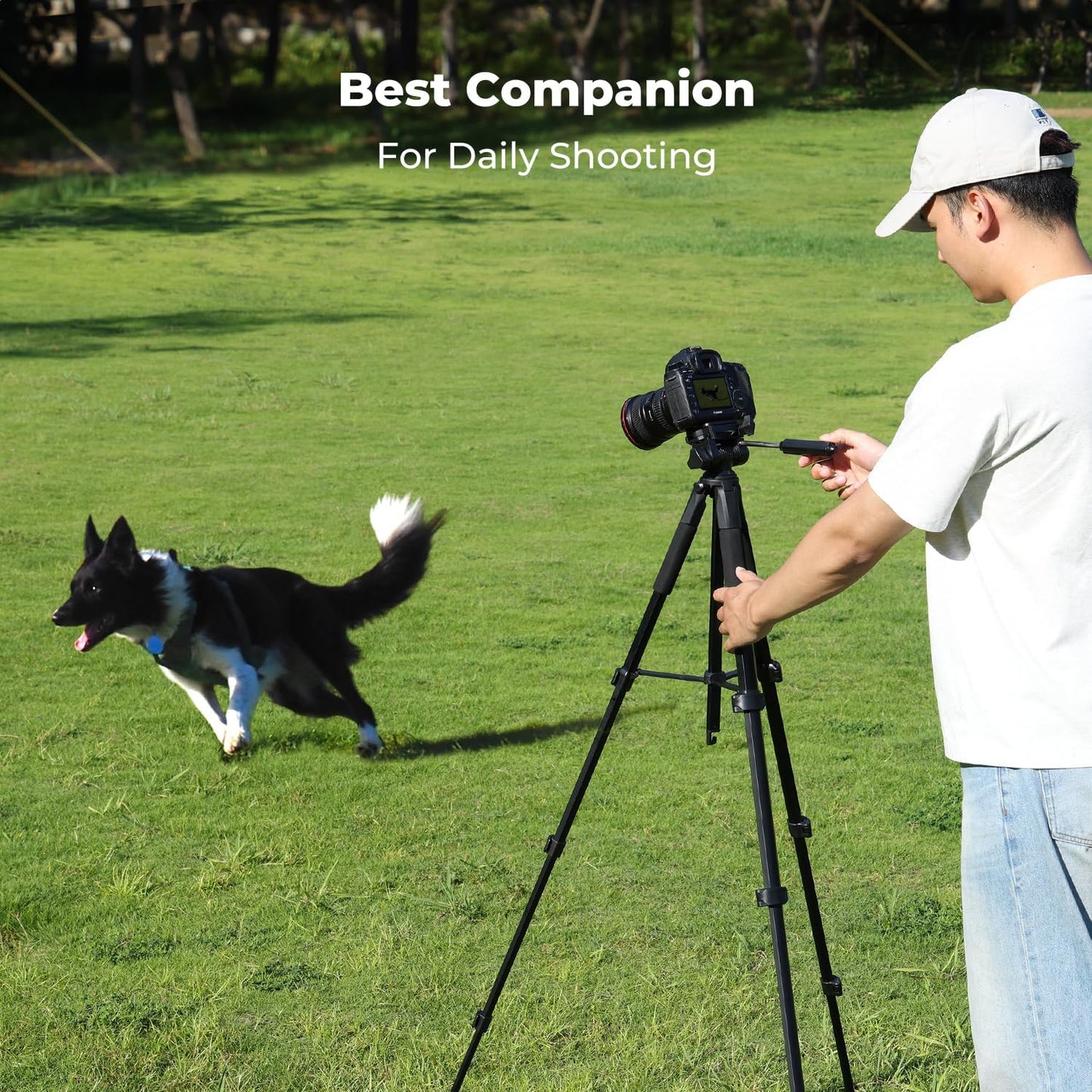 K&F CONCEPT 75"/190cm Lightweight Travel Camera Tripod for Phone | Compact Video Tripod Stand with Phone Clip, Bluetooth, Compatible with Canon/Sony/Nikon, Laser Level S255A3+BV01